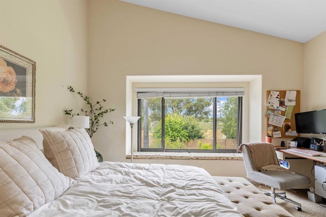 bedroom featuring vaulted ceiling