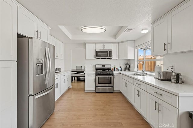 kitchen featuring white cabinetry, appliances with stainless steel finishes, a sink, and a raised ceiling