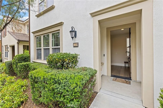 view of exterior entry featuring stucco siding