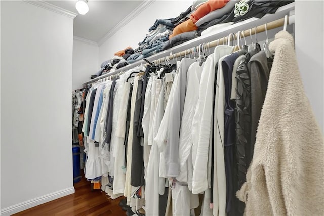 walk in closet featuring wood finished floors