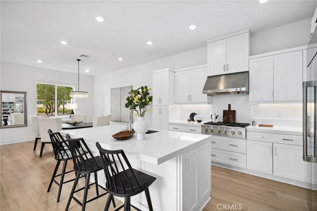 kitchen featuring a kitchen island with sink, under cabinet range hood, a sink, light wood finished floors, and stainless steel gas stovetop