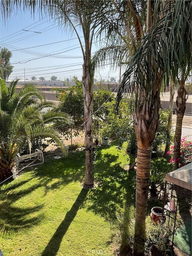 30500 Rd 72 # A, Visalia, CA 93291 - view of yard