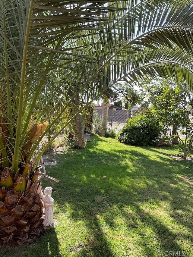30500 Rd 72 # A, Visalia, CA 93291 - view of yard with fence