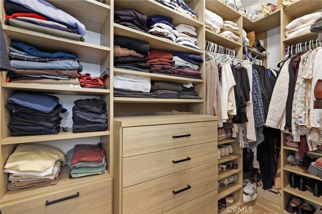 view of walk in closet