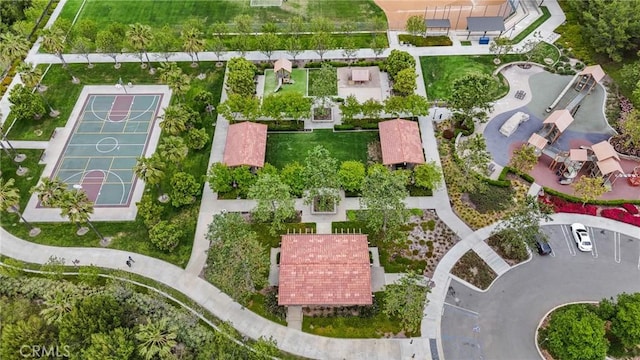 drone / aerial view