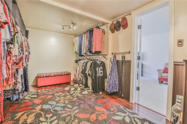 spacious closet with wood finished floors