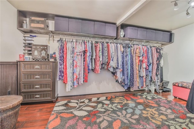 walk in closet with dark wood-style flooring