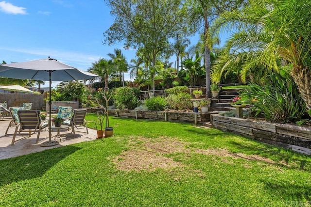 view of yard featuring a patio and a fenced backyard