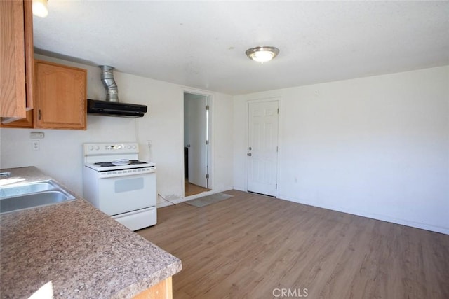 kitchen with light wood-type flooring, a sink, light countertops, ventilation hood, and electric stove