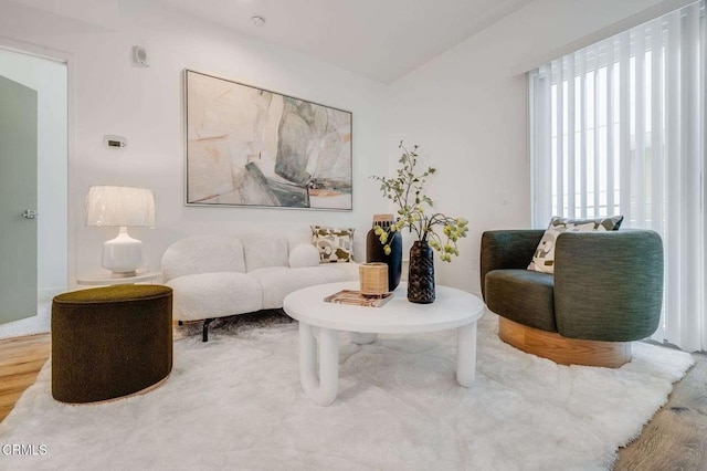 living room with wood finished floors