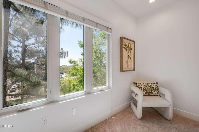 unfurnished room with baseboards and carpet
