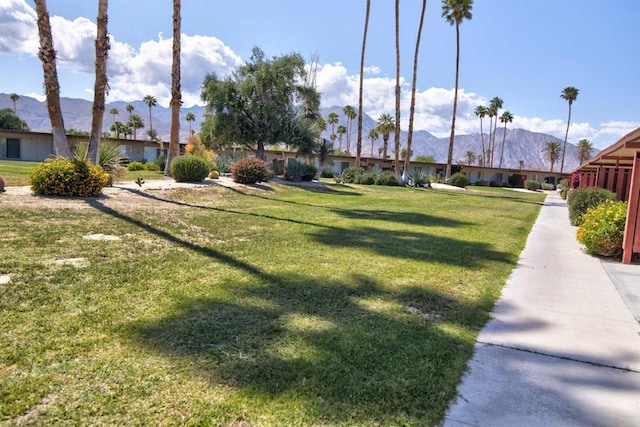 view of property's community featuring a mountain view, a yard, and a residential view
