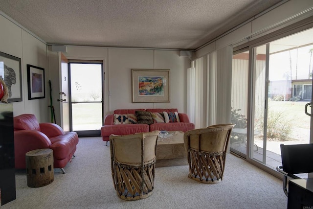 living room featuring plenty of natural light, a textured ceiling, and carpet