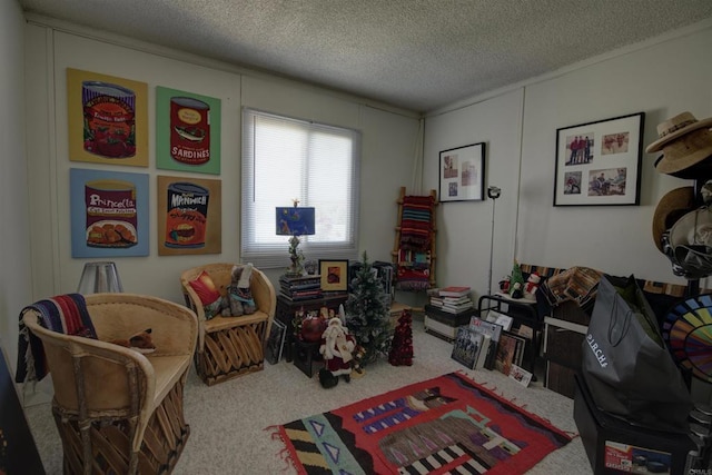living area with a textured ceiling and carpet