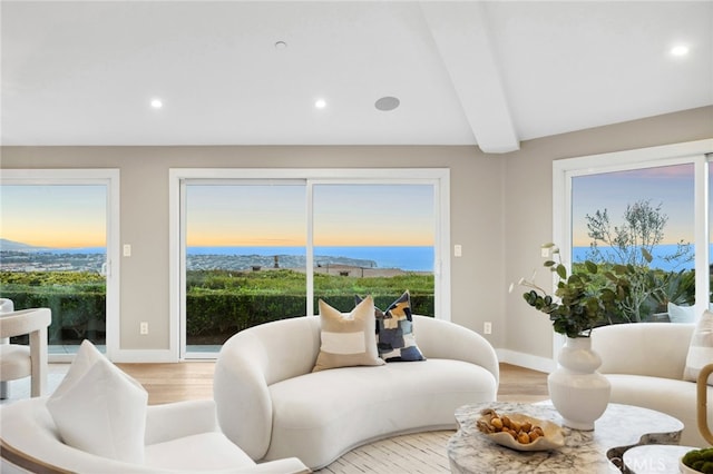 interior space featuring light wood-type flooring, recessed lighting, baseboards, and a wealth of natural light