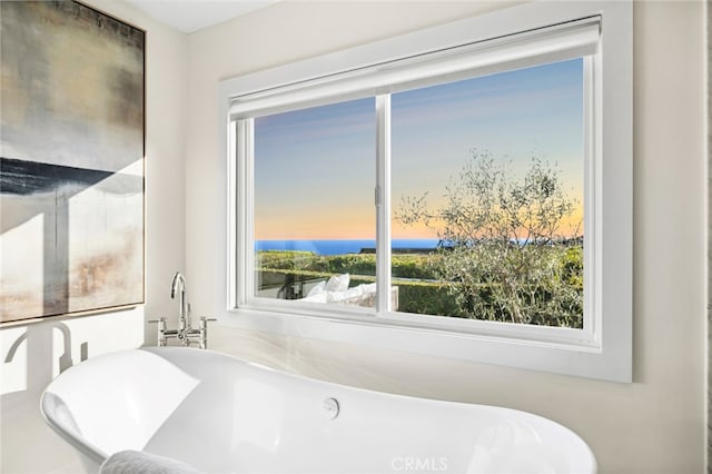 full bathroom with a freestanding tub