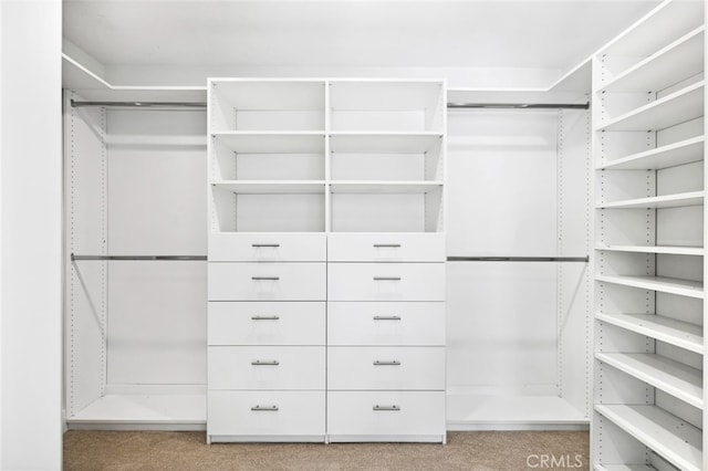 view of walk in closet