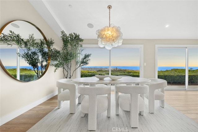 dining room featuring an inviting chandelier, plenty of natural light, and wood finished floors