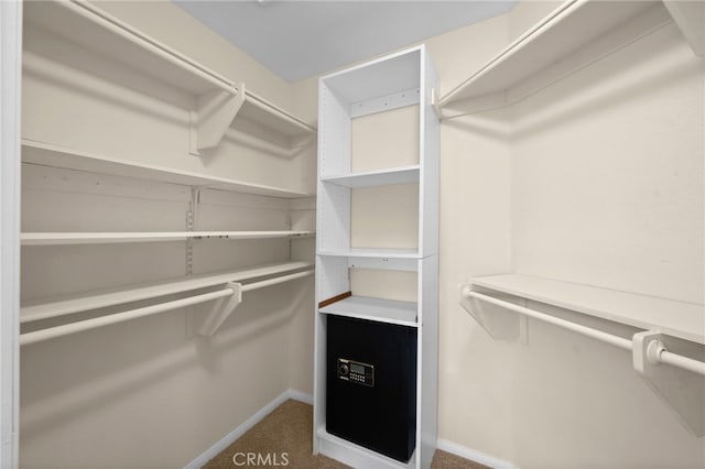 spacious closet with carpet flooring
