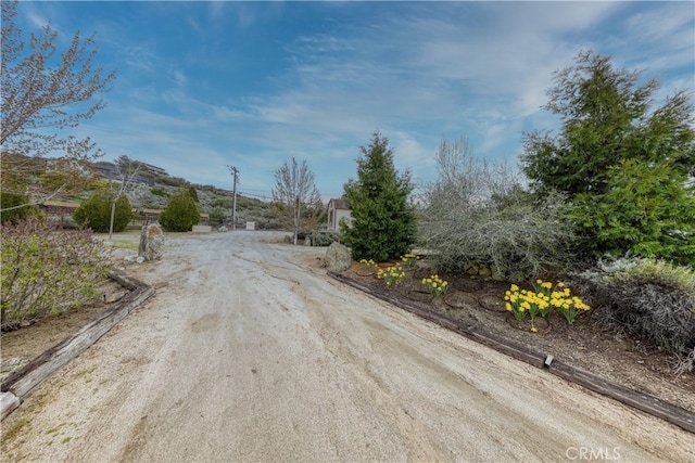view of road with dirt driveway