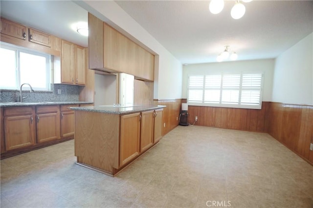 kitchen featuring wooden walls, a healthy amount of sunlight, a sink, and a wainscoted wall
