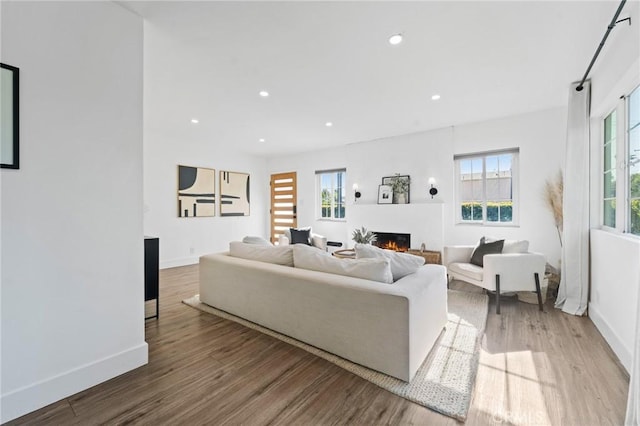 living room featuring baseboards, a warm lit fireplace, a healthy amount of sunlight, and wood finished floors