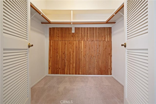 spacious closet with carpet flooring