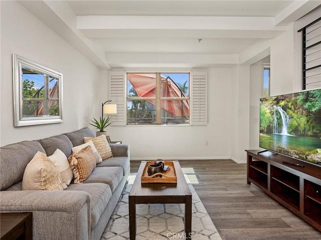 living area with baseboards, wood finished floors, a healthy amount of sunlight, and beam ceiling