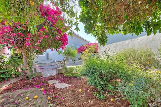 3442 Delta Ave, Rosemead, CA 91770 - view of yard