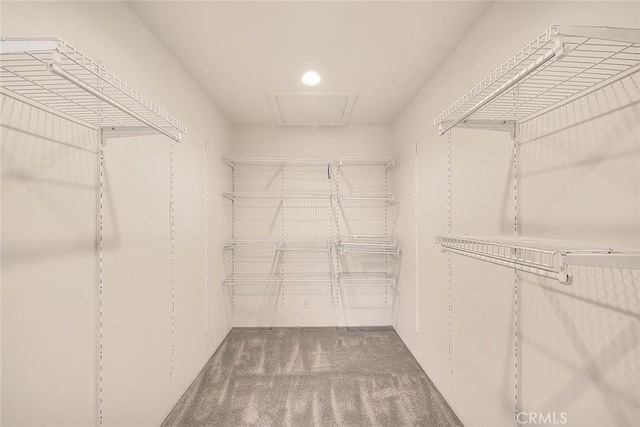 3442 Delta Ave, Rosemead, CA 91770 - spacious closet featuring carpet floors and attic access