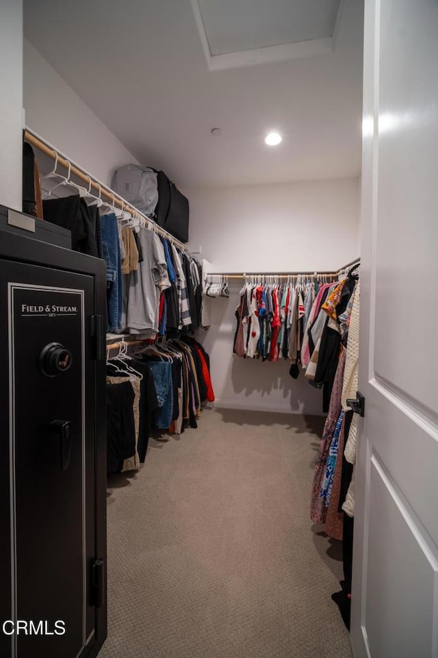 walk in closet with carpet flooring