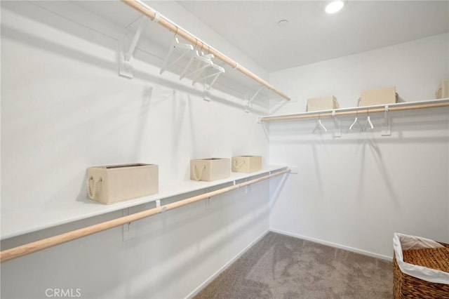 spacious closet with carpet floors