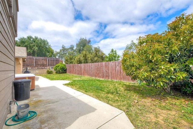 view of yard featuring a fenced backyard and a patio area