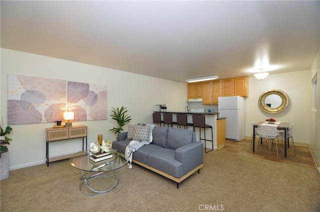 living room featuring baseboards and light carpet