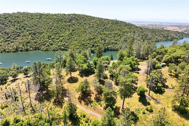 0 Wild Turkey Run, Oroville, CA 95965
