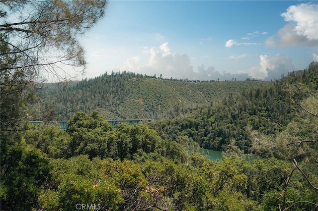 0 Wild Turkey Run, Oroville, CA 95965