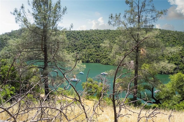 0 Wild Turkey Run, Oroville, CA 95965