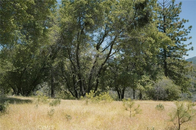 0 Wild Turkey Run, Oroville, CA 95965
