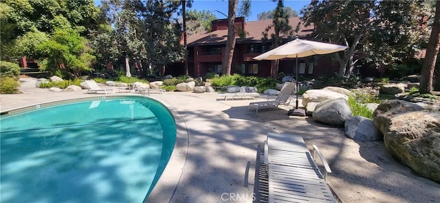 outdoor pool with a patio
