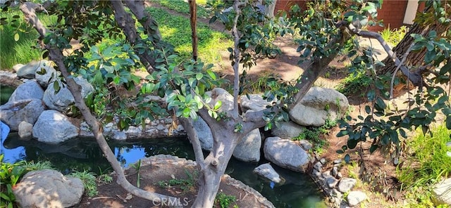 view of nature featuring a garden pond