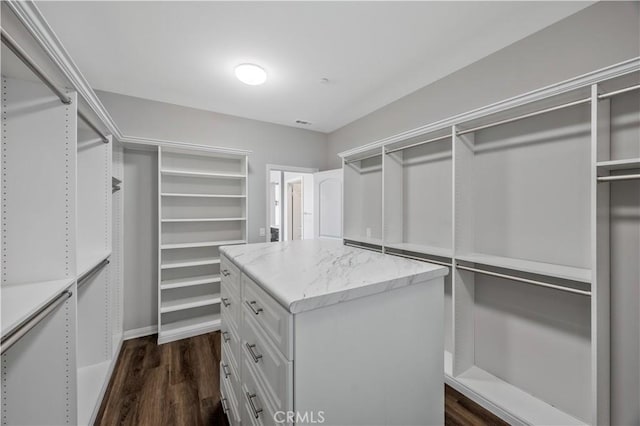 spacious closet featuring dark wood finished floors
