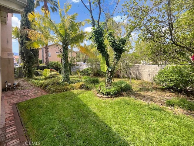 view of yard with a fenced backyard