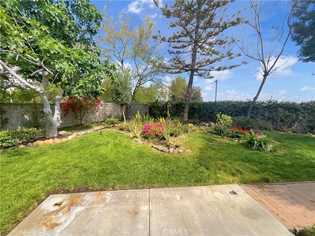 view of yard featuring a fenced backyard and a patio