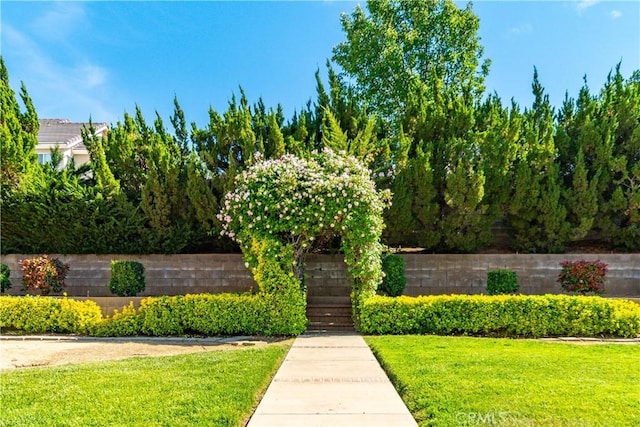 exterior space with a lawn