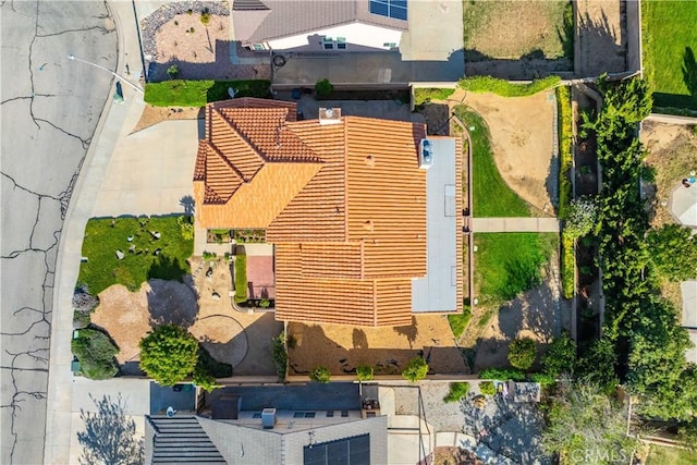 bird's eye view