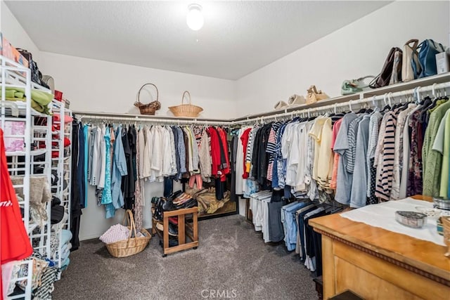 walk in closet featuring carpet floors