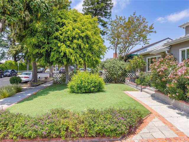 1234 N Pass Ave, Burbank, CA 91505 - view of yard