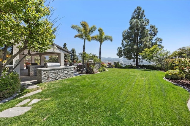 26930 Ironstone, Yorba Linda, CA 92887 - view of green lawn featuring a gazebo and exterior kitchen