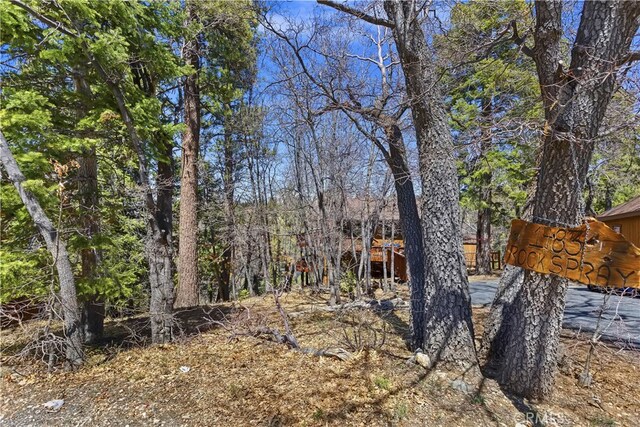 1483 Rockspray Dr, Big Bear Lake, CA 92315 - photo 4
