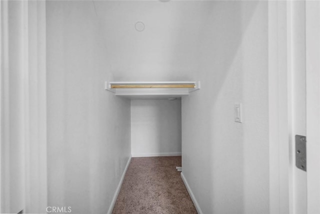 spacious closet with carpet floors